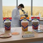 Quality Standards and Certification Processes in Bulgur Production inshot 20251011 091406016