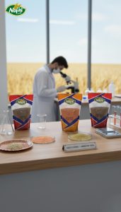 Normes de Qualité et Processus de Certification dans la Production du Boulgour