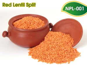 kırmızı yaprak mercimek