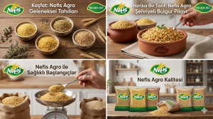 <h1>تراث الأناضول: البرغل، الفريك، الجريش، وقمح عاشوراء</h1>